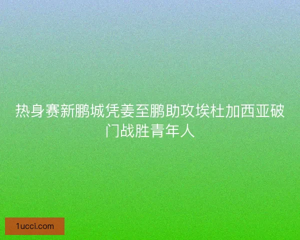 热身赛新鹏城凭姜至鹏助攻埃杜加西亚破门战胜青年人