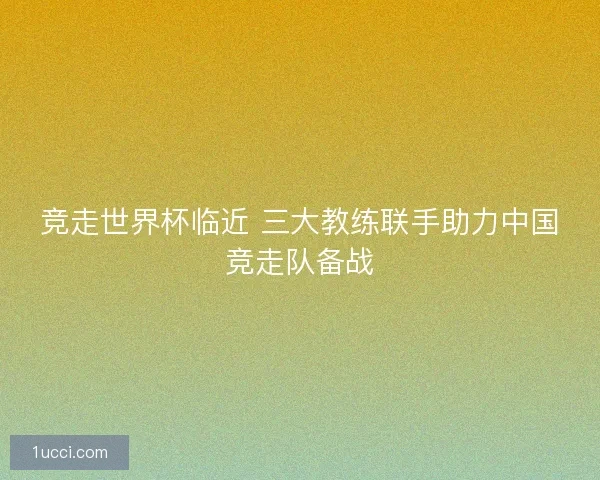 竞走世界杯临近 三大教练联手助力中国竞走队备战